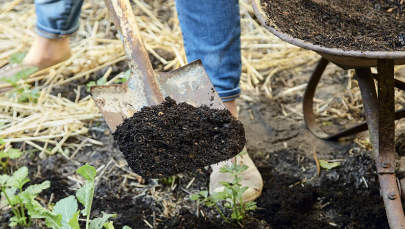 Kirsten Bresciani_Jian Liu's compost